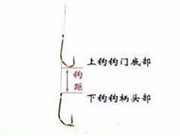 详解子线长短、钩距大小和调钓灵钝的“三角恋”